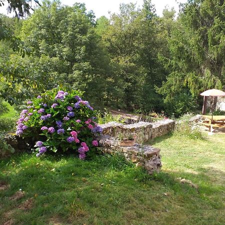 Gite Moulin De Ludieras Busserolles Exterior foto