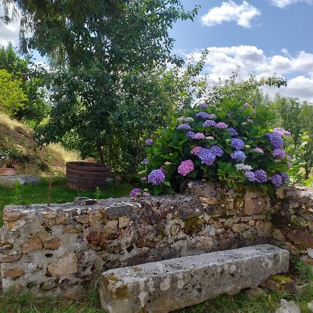 Gite Moulin De Ludieras Busserolles Exterior foto